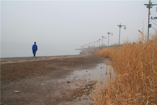 延伸遠(yuǎn)方（趙向東）