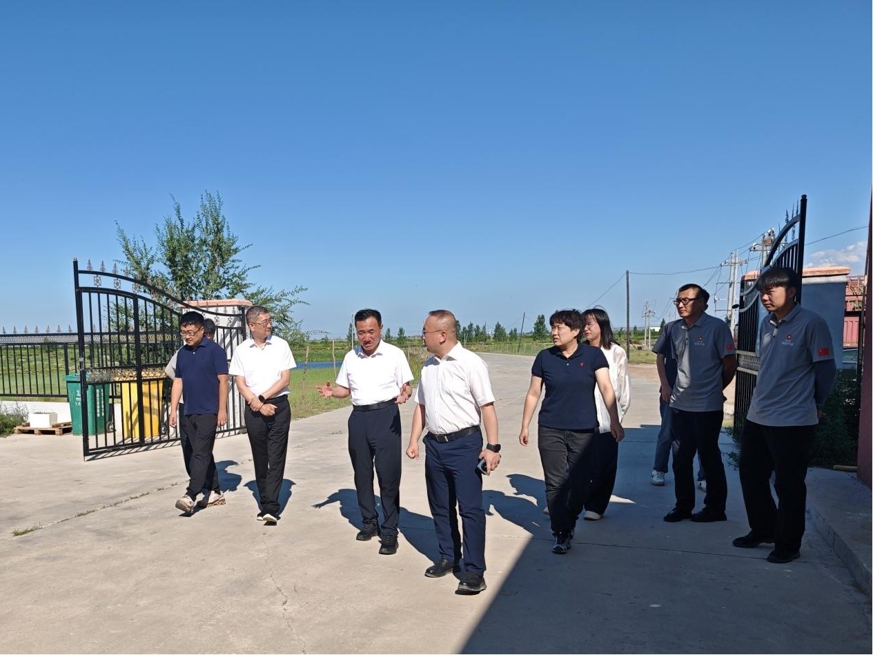 XD1232131.jpg XD1232131.jpg